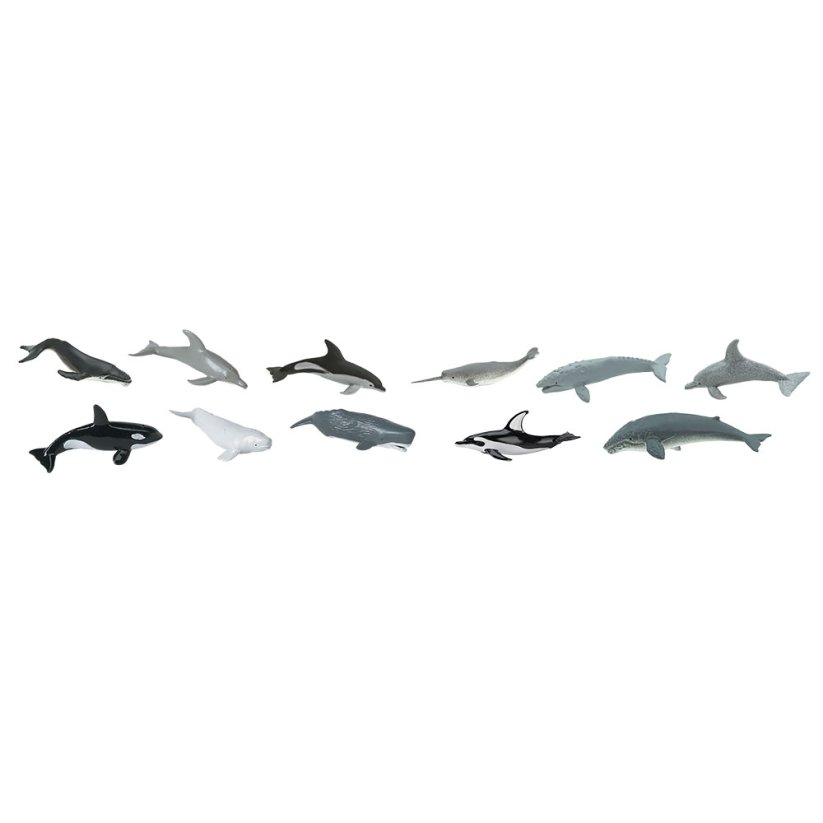 Tuba - Velryby a delfíni