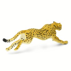 Gepard