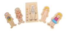 Puzzle Anatomie