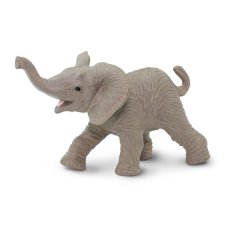 Mládě slona afrického