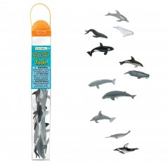 Tuba - Velryby a delfíni