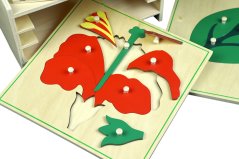 3 botanické puzzle s komodou