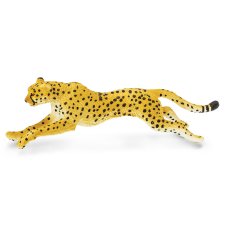 Gepard