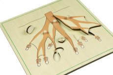 Puzzle - kořen