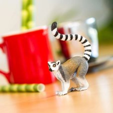 Lemur kata
